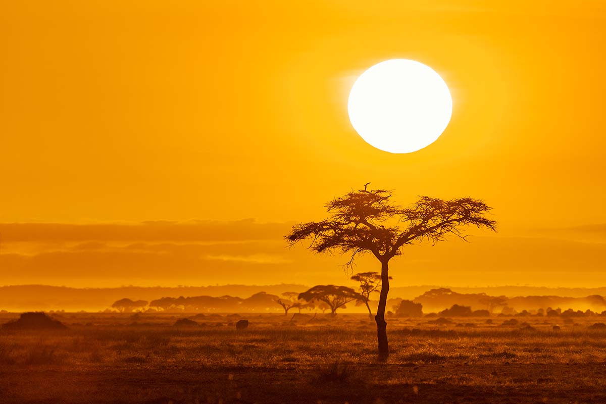 Amboseli National Park, Kenya