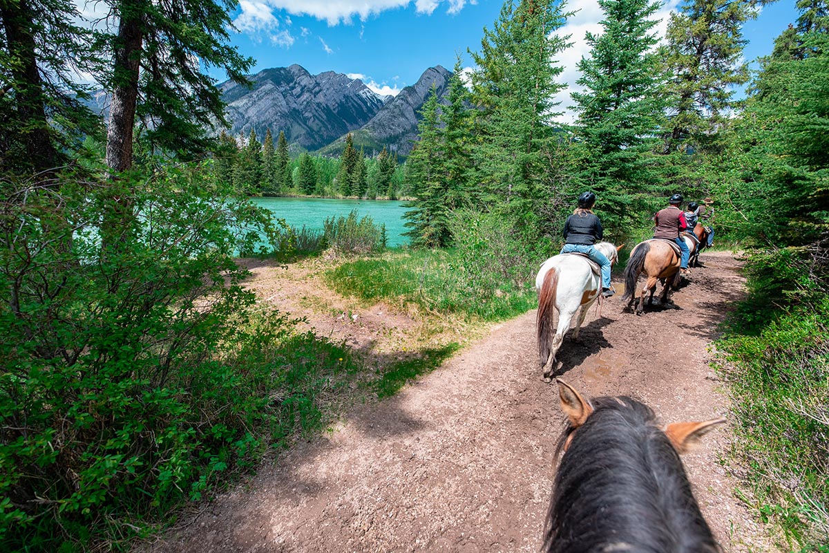 Horseback Ride in Banff