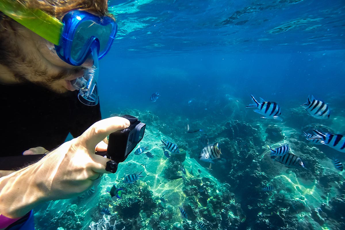 Snorkelling Tour, Barbados