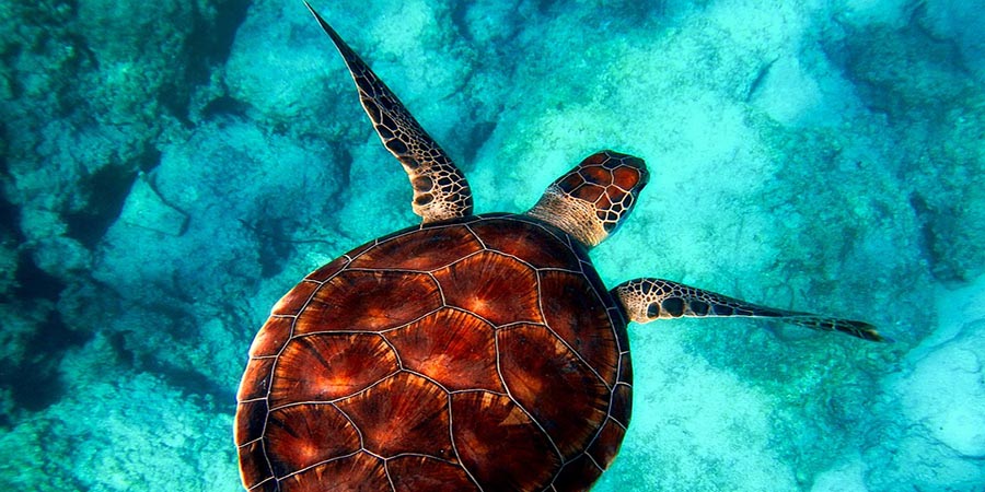 Mauritius, Indian Ocean