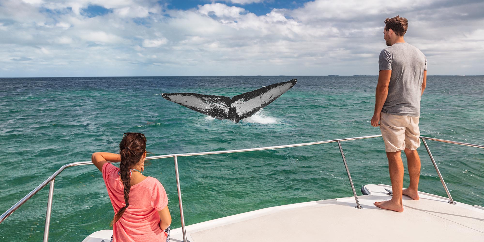 Celebrate World Whale Day: Discover the Gentle Giants of the Sea