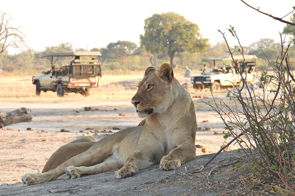 Hwange National Park