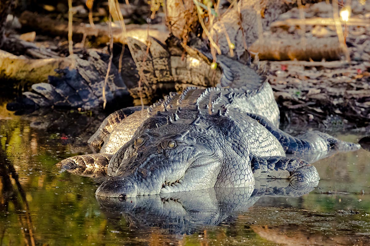 Kakadu National Park, Northern Territory