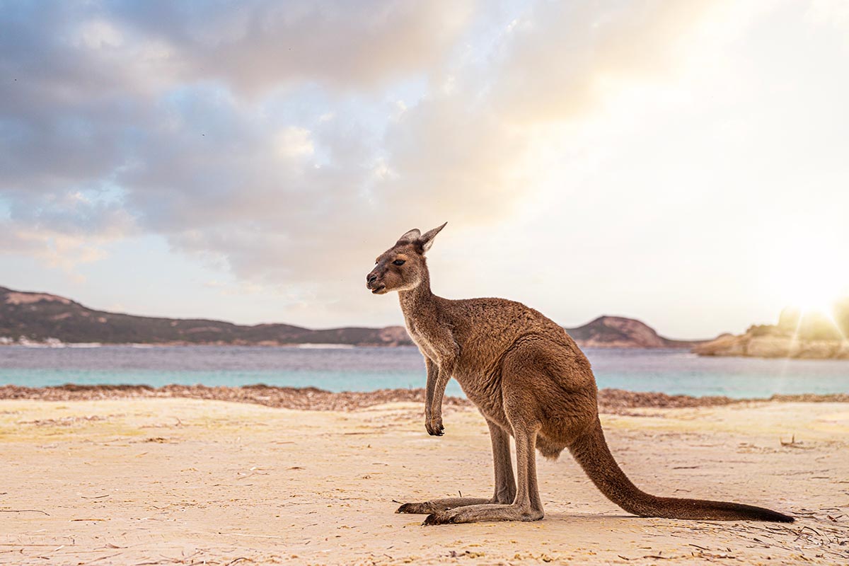 Kangaroo Island, Australia