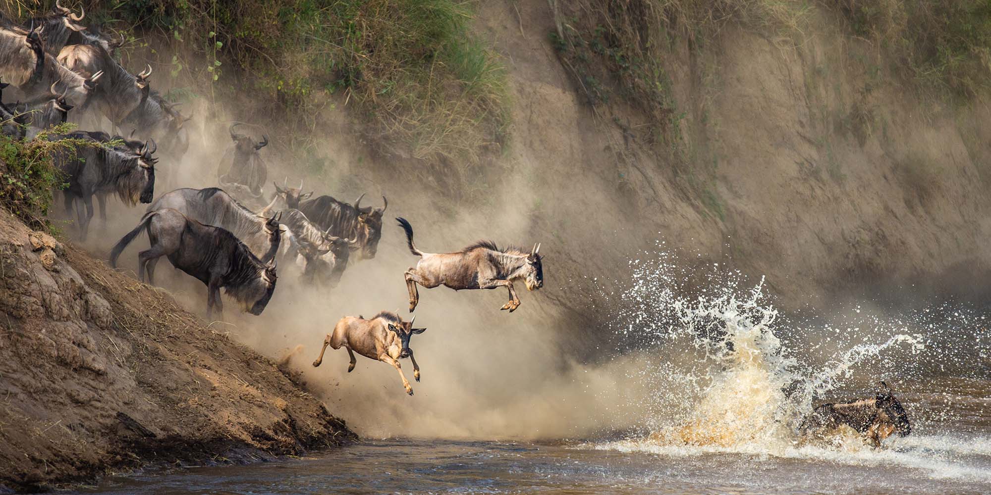 Nature's Greatest Show: A Guide to Kenya's Great Migration