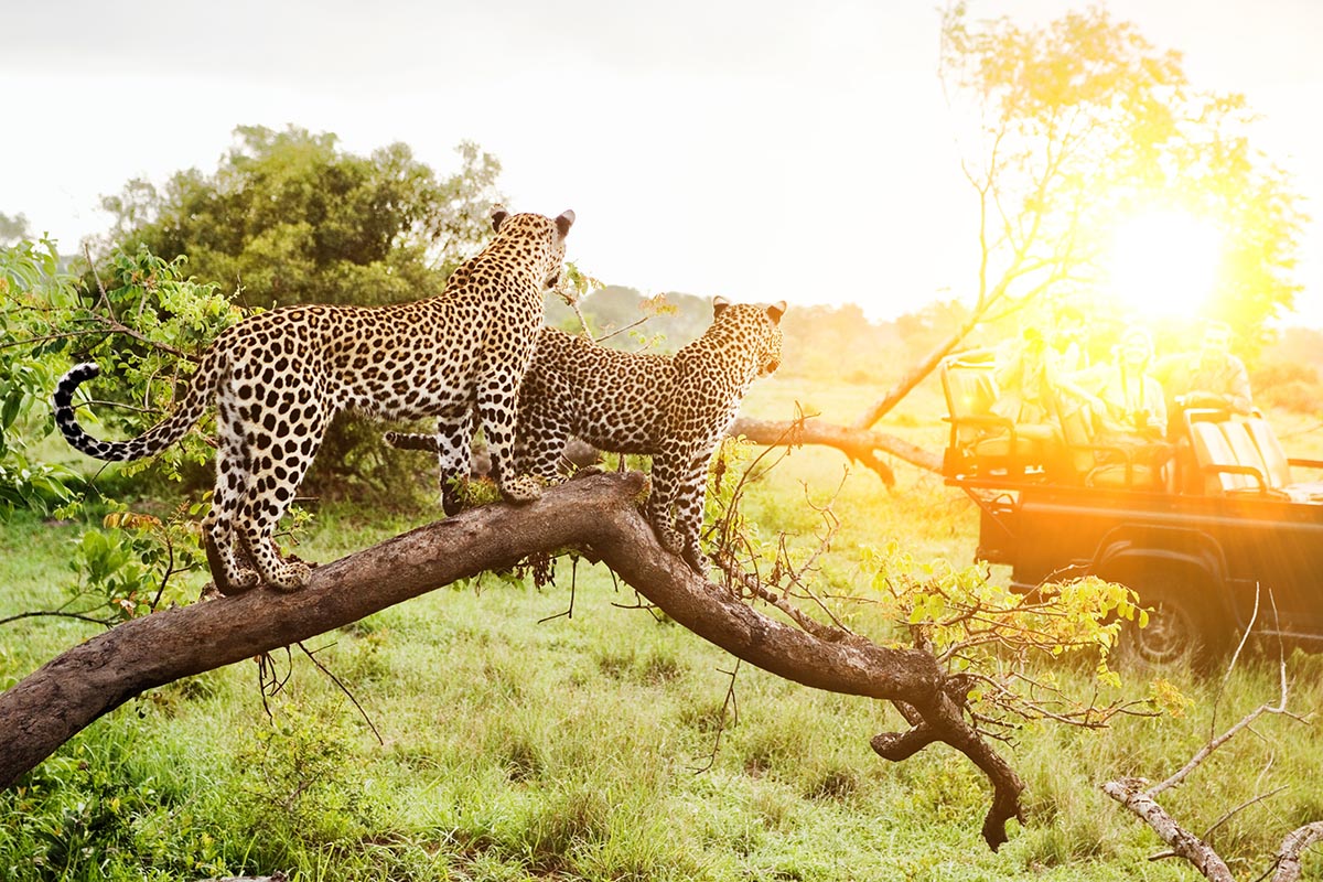 Kruger National Park