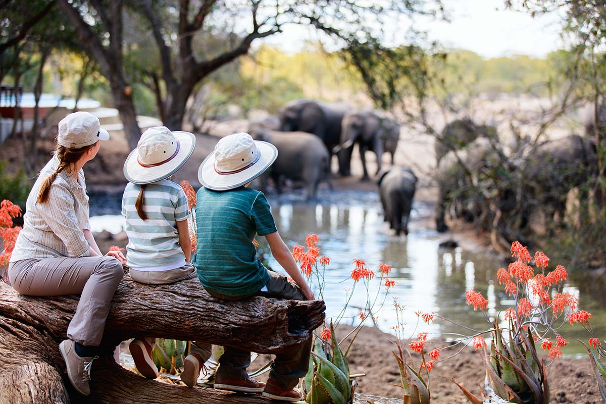 Madikwe Game Reserve