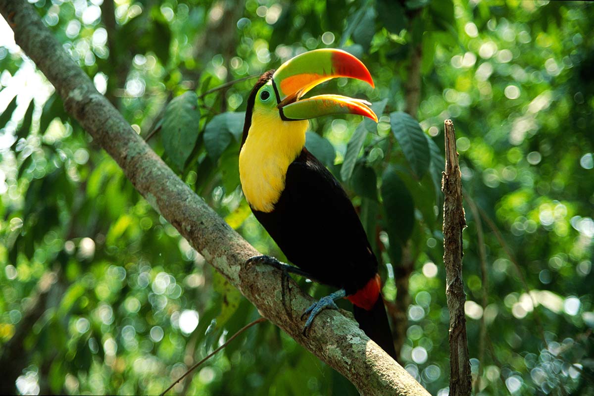 Manuel Antonio, Costa Rica