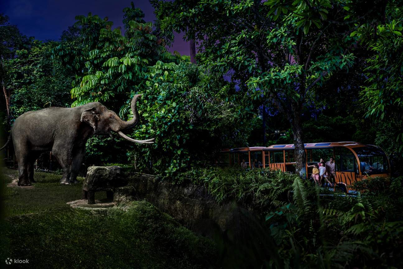 Singapore Night Safari, Singapore