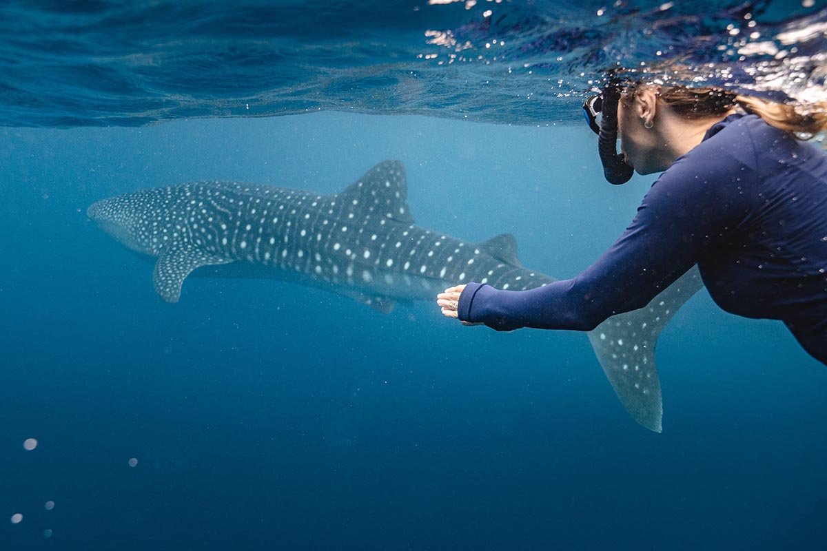 Ningaloo, Western Australia