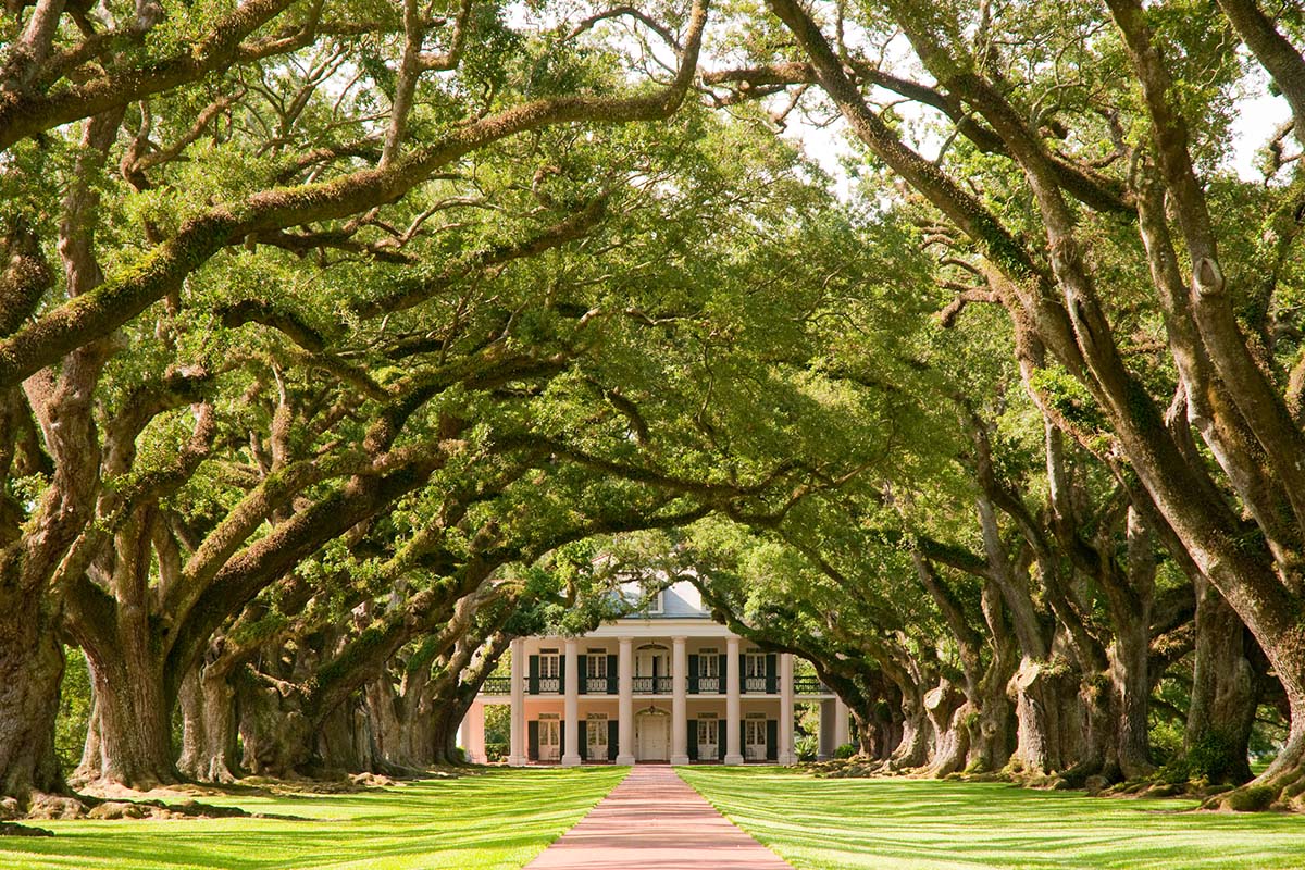 Oak Alley Plantation & Swamp Tour