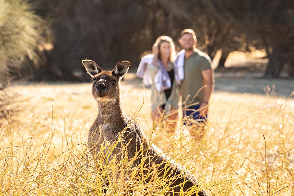 Ultimate Kangaroo Island Tour