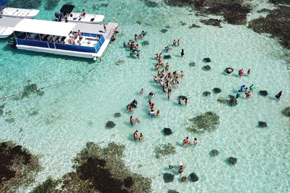 Snorkelling with Stingrays