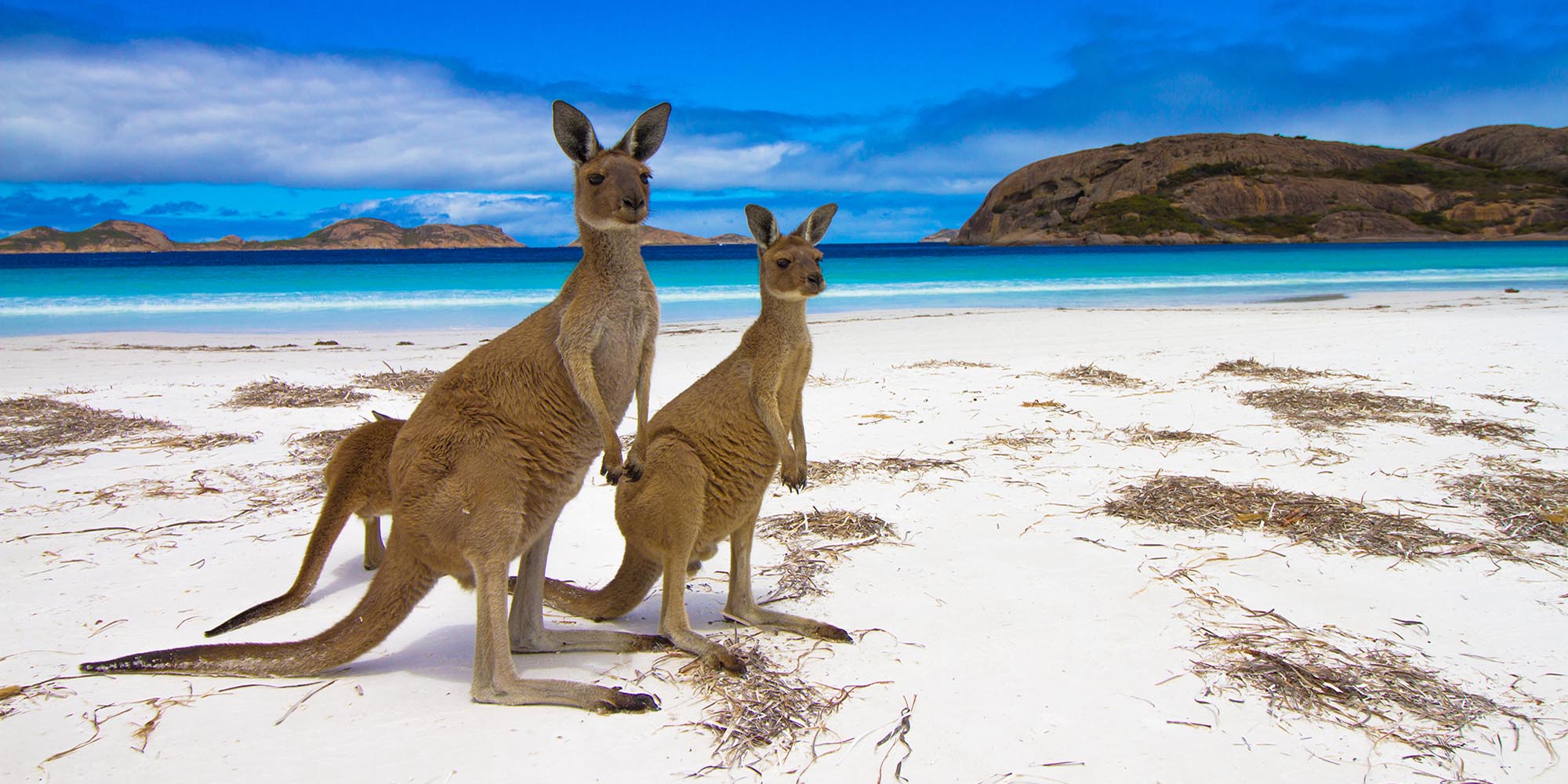 From Reef to Rock: Discovering Australia's Most Breathtaking Wonders