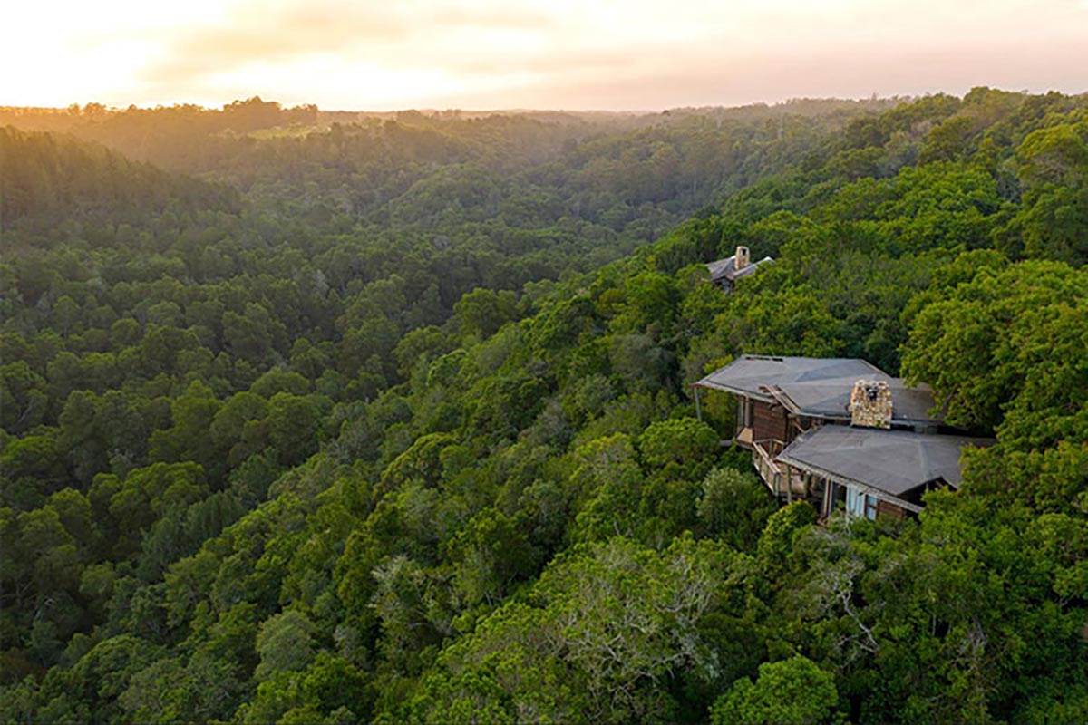 Tsala Treetop Lodge, Plettenberg Bay, South Africa