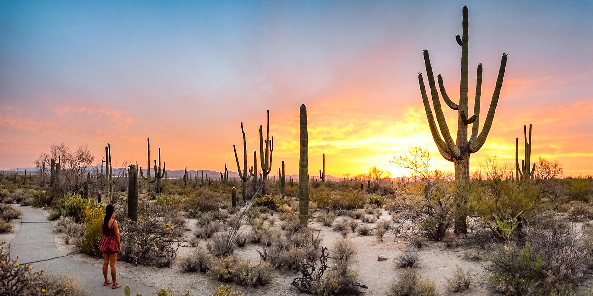 Discovering Tucson: A Journey Through Time and Culture