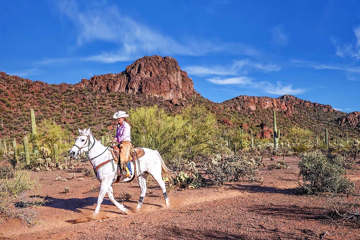 White Stallion Ranch