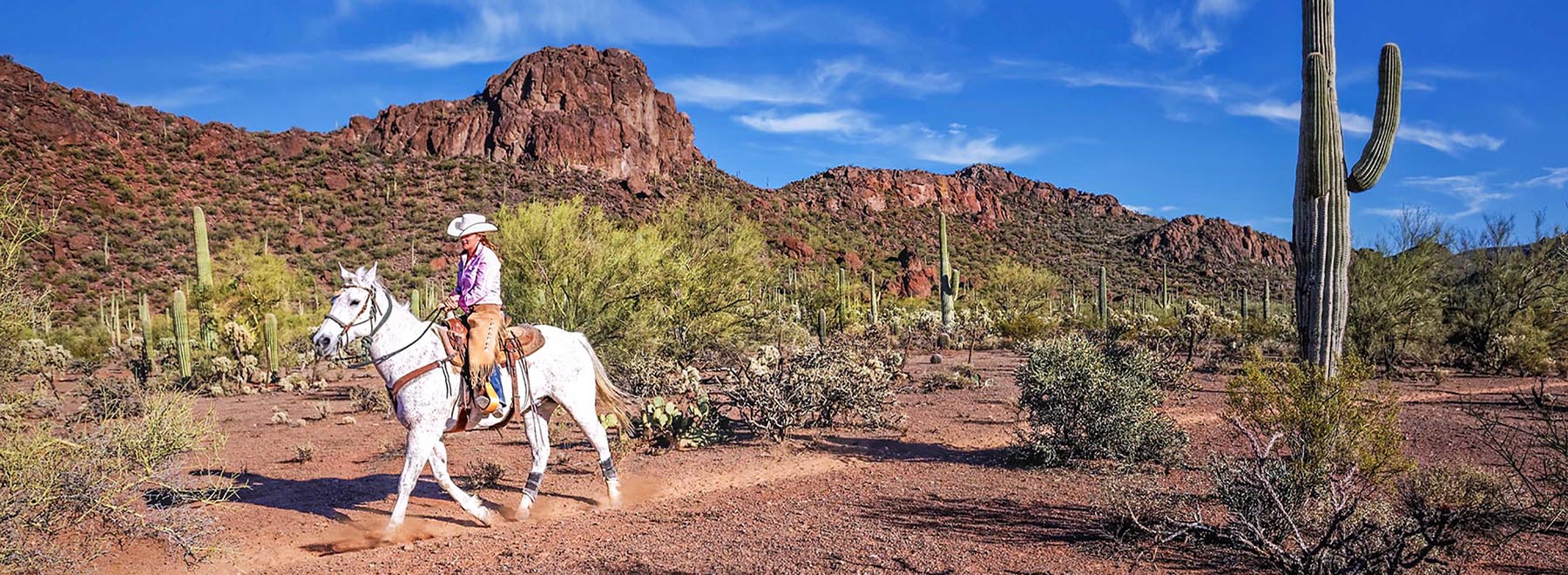 White Stallion Ranch