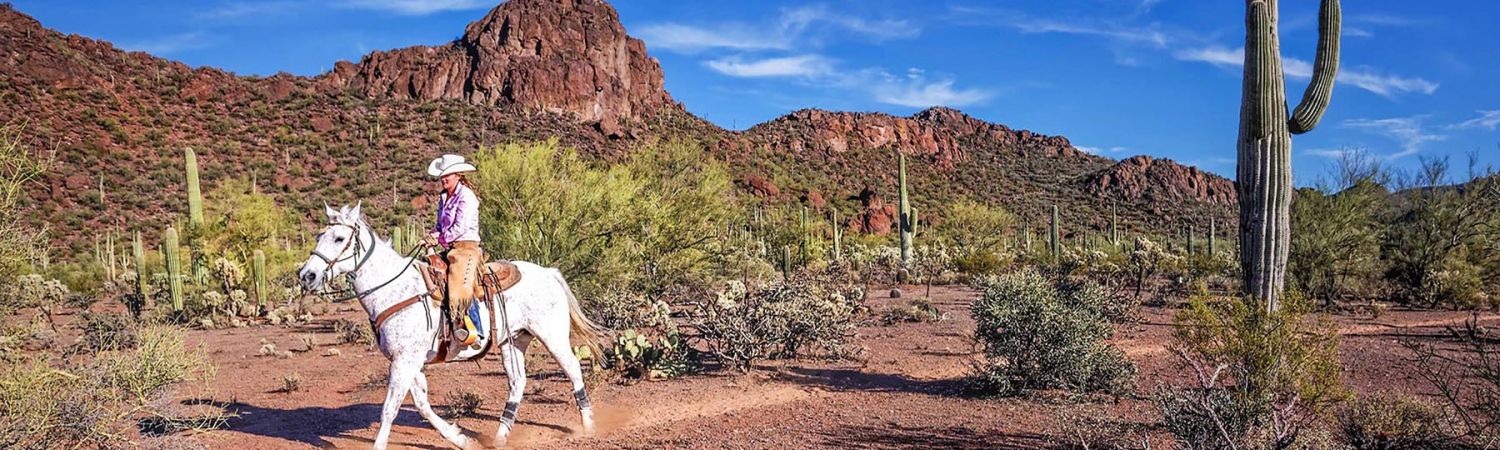 White Stallion Ranch