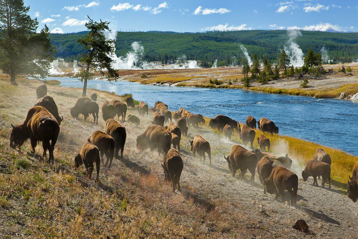 West Yellowstone, Montana