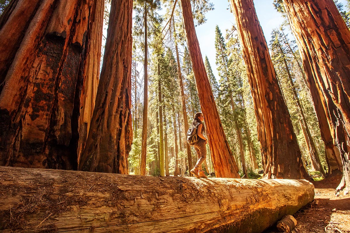 Yosemite Valley Lodging Adventure